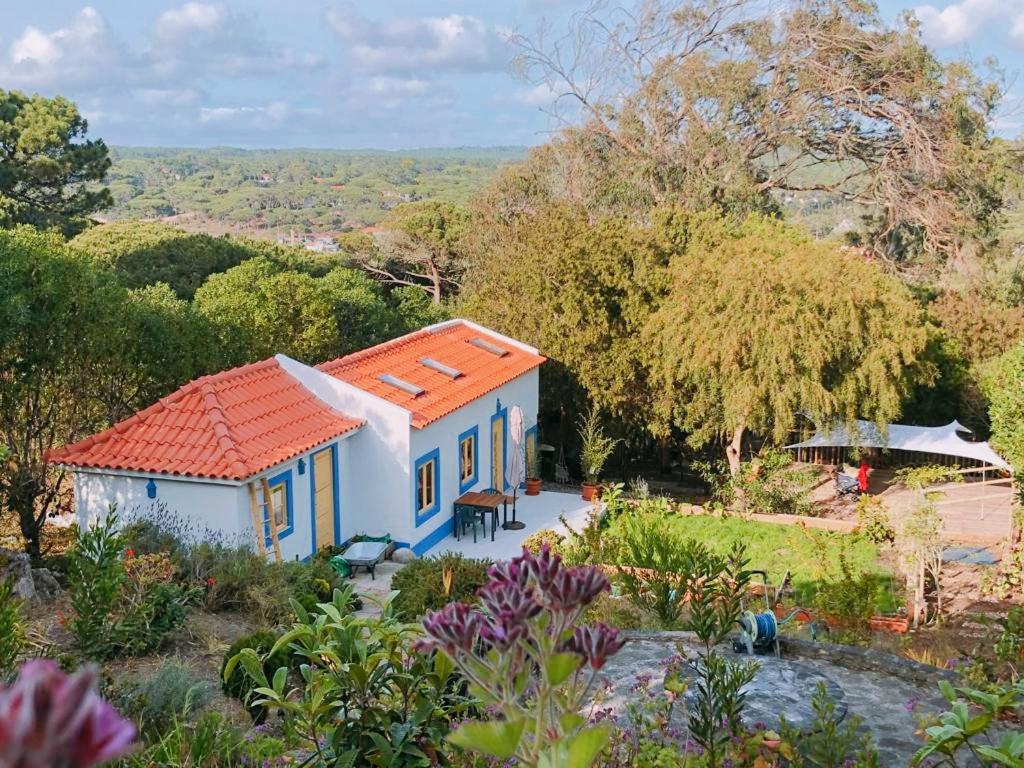 Вилла Casa Do Sol Коларес Экстерьер фото
